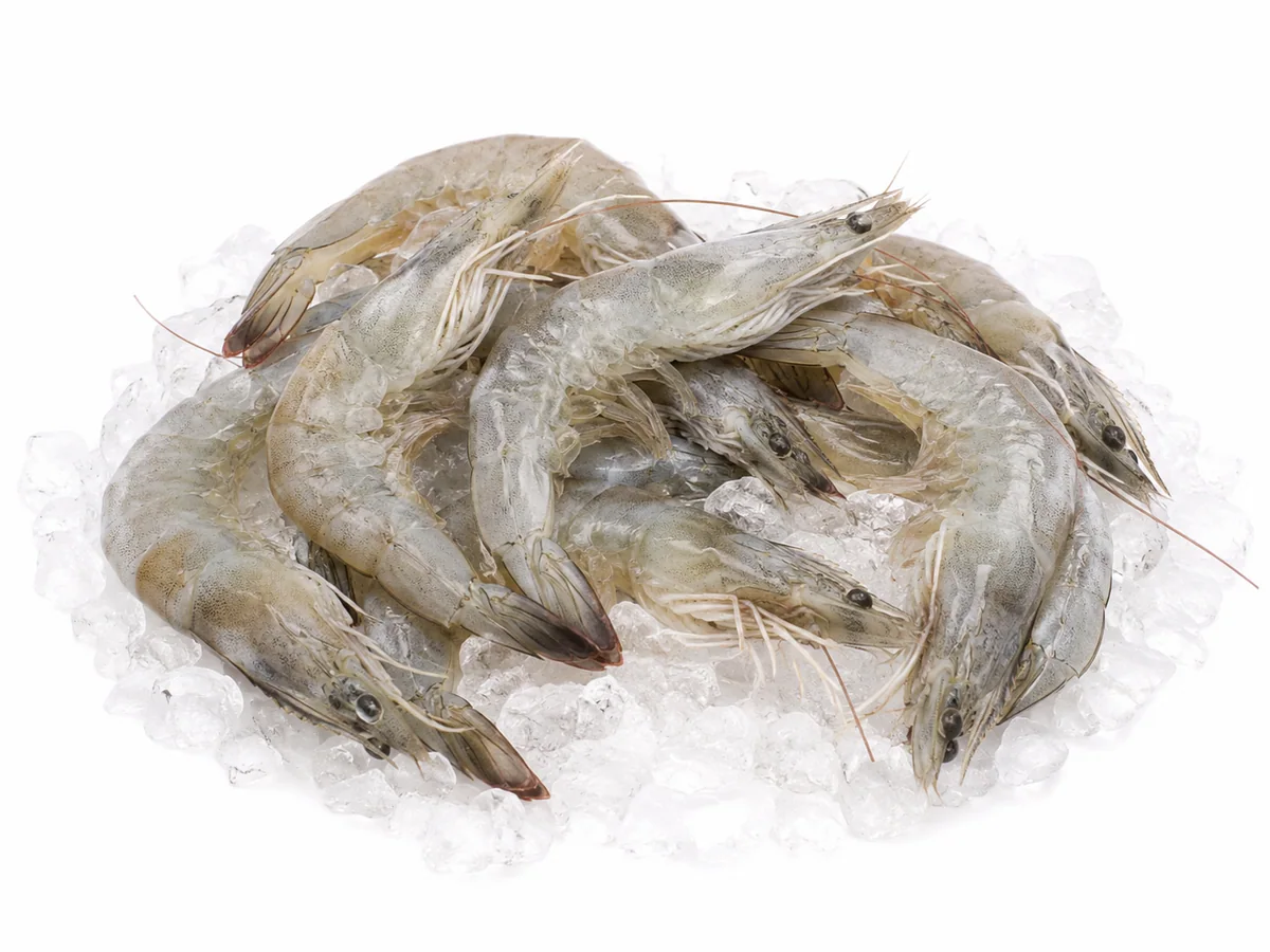 Langostino vannamei