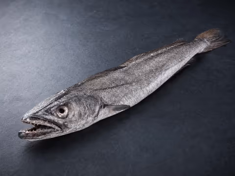 Merluza